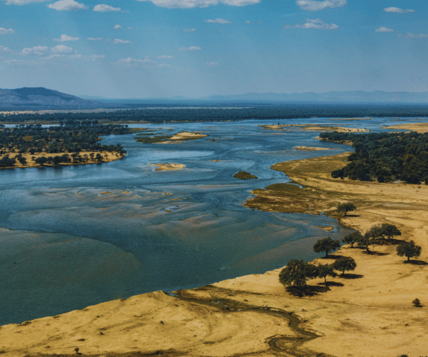 8 Day Mana Pools & Chitake Springs