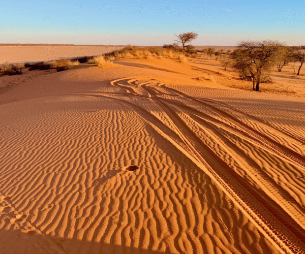 3 Day Central Kalahari Classic