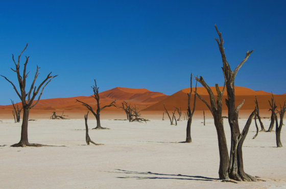 9 Day Family Tour – Luxury Holiday