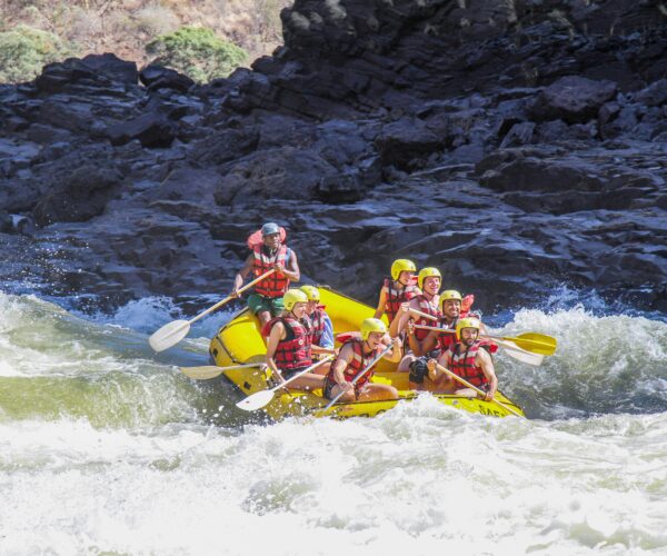 20-Day Cape Town to Victoria Falls Safari
