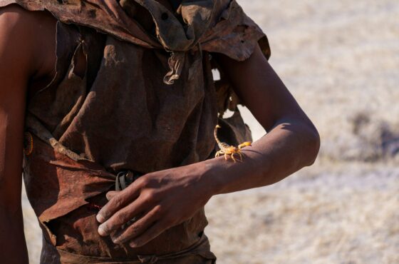 Namibia Heritage 🌿