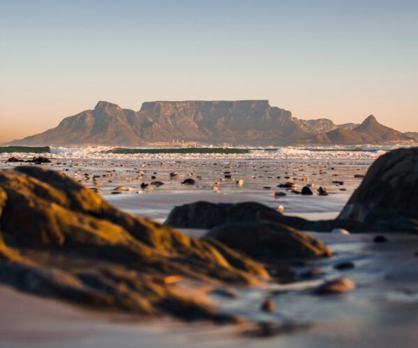 Cape Town Highlights & Winelands Tour