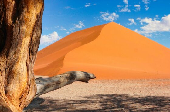 THE NAMIBIAN SIGNATURE ESCAPE