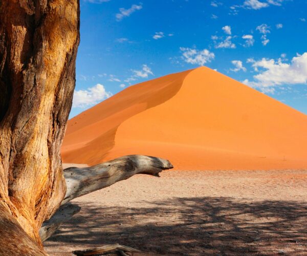 THE NAMIBIAN SIGNATURE ESCAPE